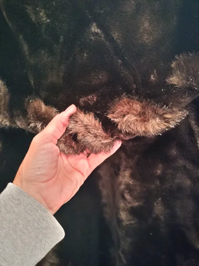 Abrigo vintage pelo sintético Talla 42