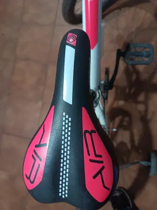 Bicicleta Infantil Megamo 20