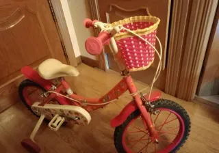 Bicicleta infantil 16 niña Fantasy