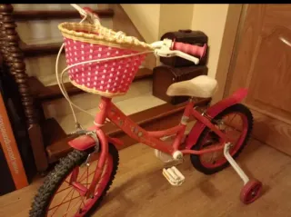 Bicicleta infantil 16 niña Fantasy
