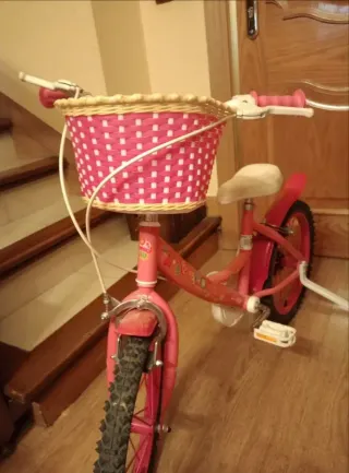 Bicicleta infantil 16 niña Fantasy