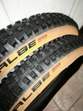 Cubiertas MTB Magic Mary y Big Betty