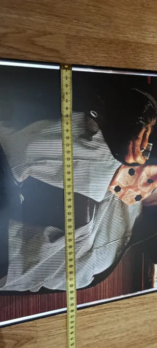 Cuadro Mono con sombrero y cerveza