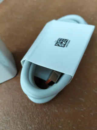 Caricabatterie Xiaomi 67W + Cavo USB-C