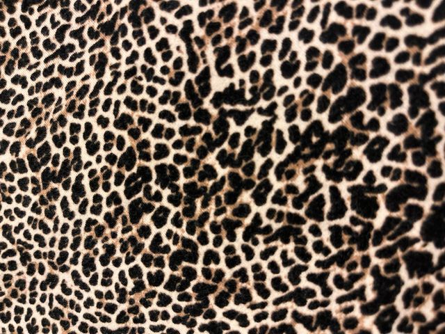 Top leopardo Stradivarius talla S