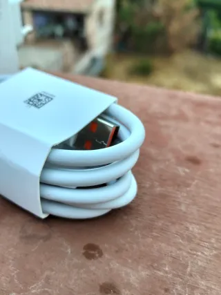 Caricabatterie Xiaomi 67W + Cavo USB-C