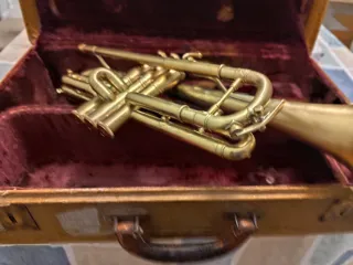 Cornetta Bach Mercury