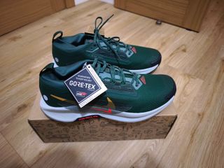 Nike Pegasus Trail 5 Gore-Tex Verde/Rojo