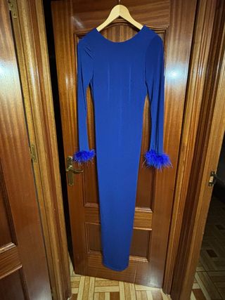 Vestido largo azul con plumas