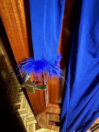 Vestido largo azul con plumas