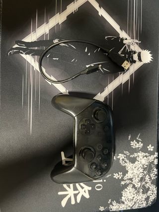 Mando Pro Nintendo Switch Negro