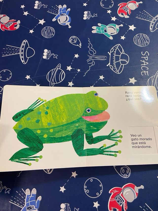 oso pardo, oso pardo ¿que ves?