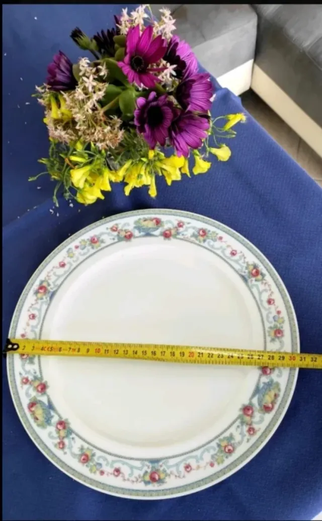 FUENTE PORCELANA ROSENTHAL .