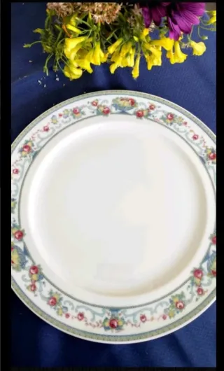 FUENTE PORCELANA ROSENTHAL .