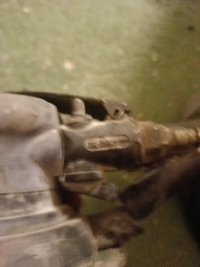 Lijadora Orbital Neumática