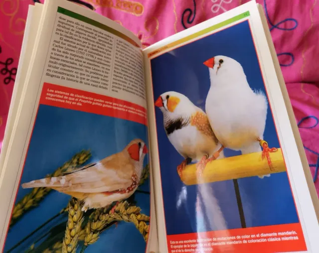 MANUALES PRÁCTICOS CANARIO, CD,PERIQUITO, DIAMANTE