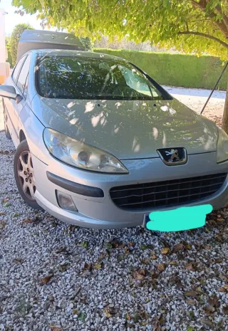 Peugeot 407 2006