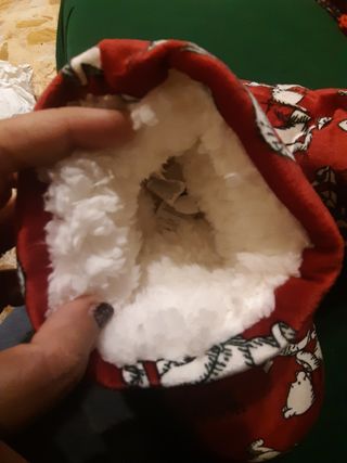 Botas casa Winnie the Pooh Talla Única