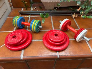 Pesas Salter (varios tamaños)