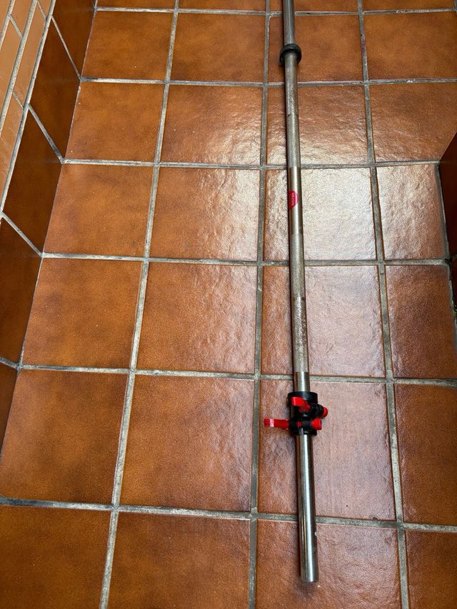 Pesas Salter (varios tamaños)