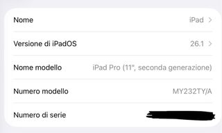 iPad Pro 11 2a Gen 128GB Grigio Siderale