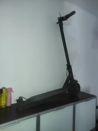 Patinete Eléctrico Xiaomi Mi 365