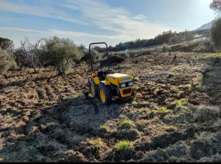 Tractor Pascuali 998