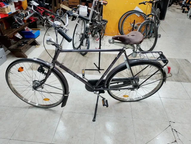 Bicicleta Paseo Gazelle