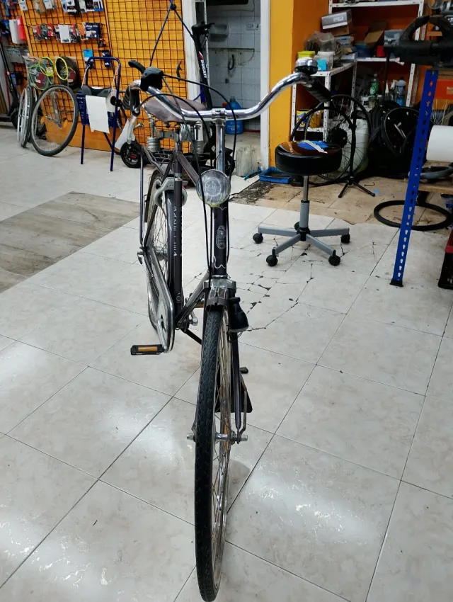 Bicicleta Paseo Gazelle