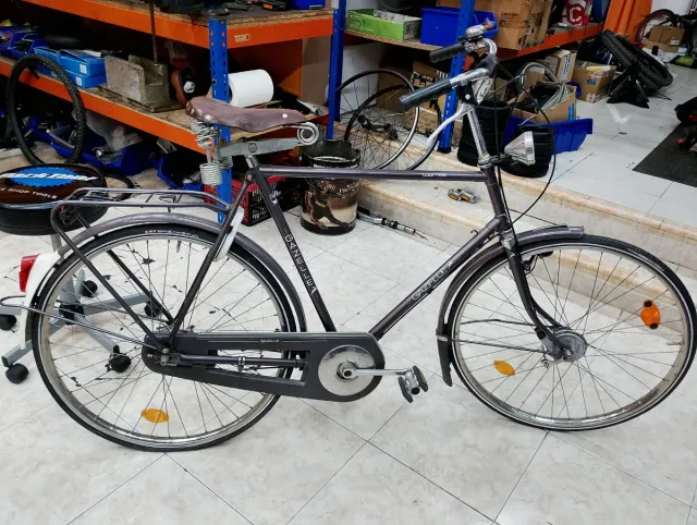 Bicicleta Paseo Gazelle