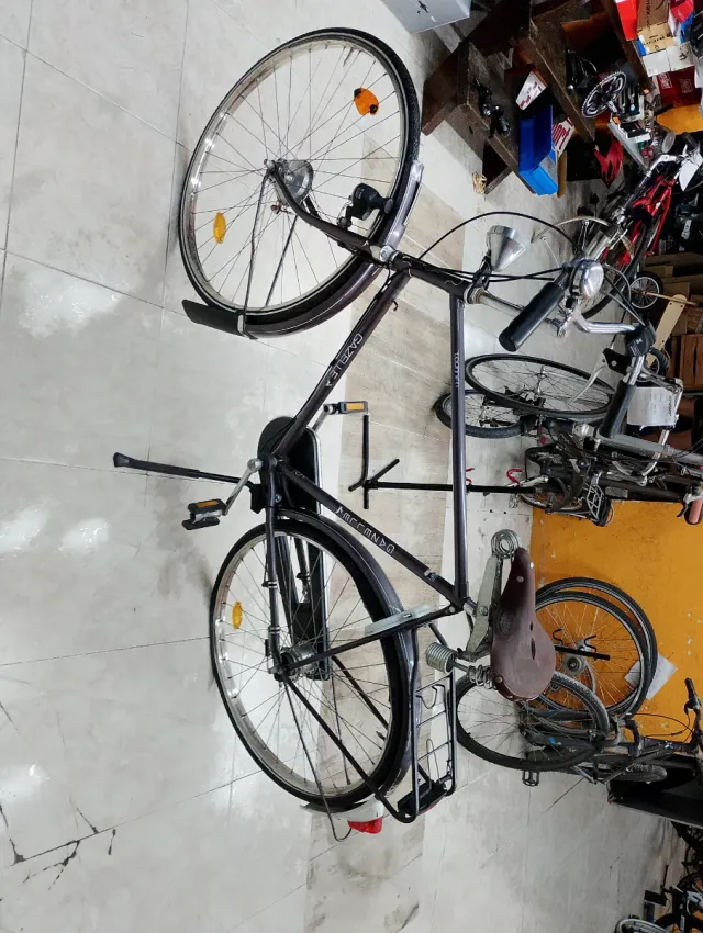 Bicicleta Paseo Gazelle