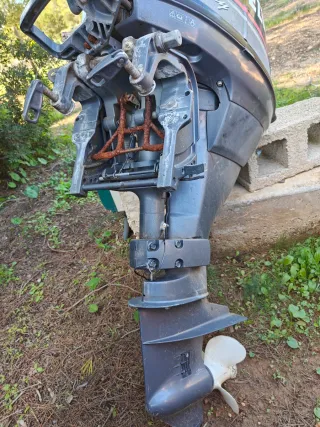 Motor fueraborda Selva Moray