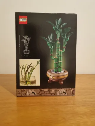 LEGO Botanicals 10344 - Lucky Bamboo