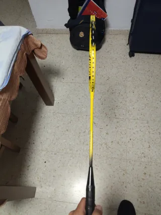 Bádminton Raqueta y funda Proton