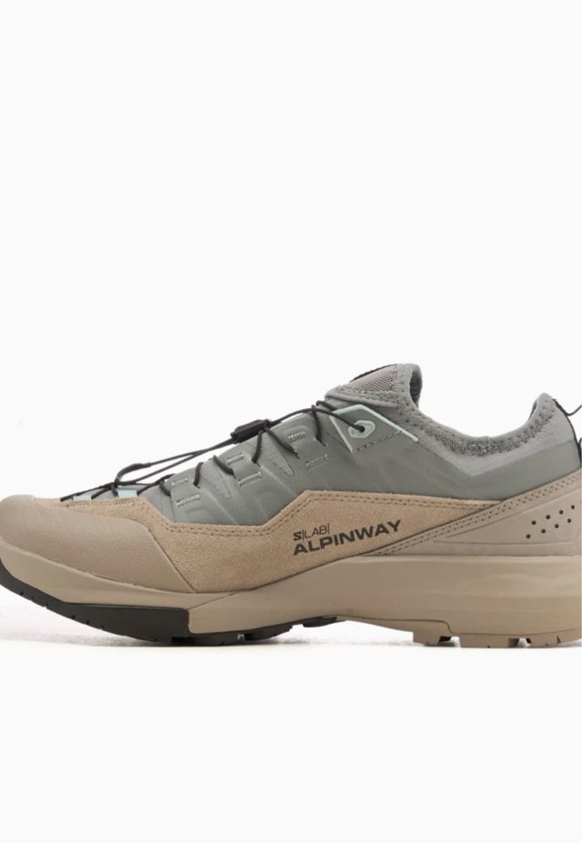 Salomon Alpinway Beige/Gris