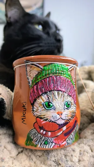 Cream, il gatto dagli occhi verdi