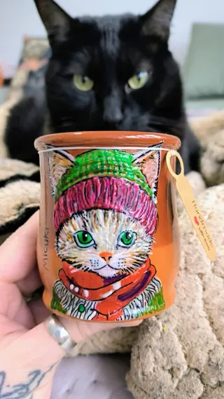 Cream, il gatto dagli occhi verdi