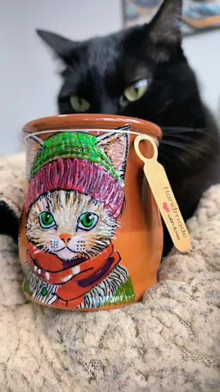 Cream, il gatto dagli occhi verdi