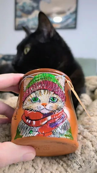 Cream, il gatto dagli occhi verdi