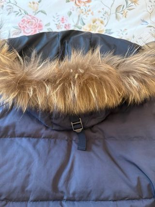 Plumas azul marino hombre de pluma natural Fyord