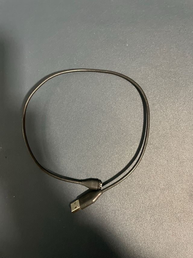 Reloj Garmin Forerunner 55 Teal