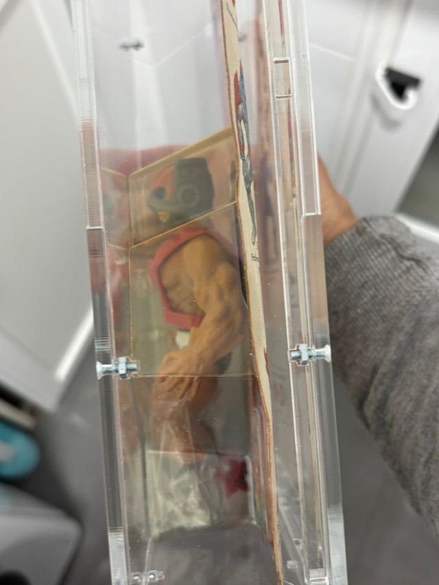 masters del universo Zodac