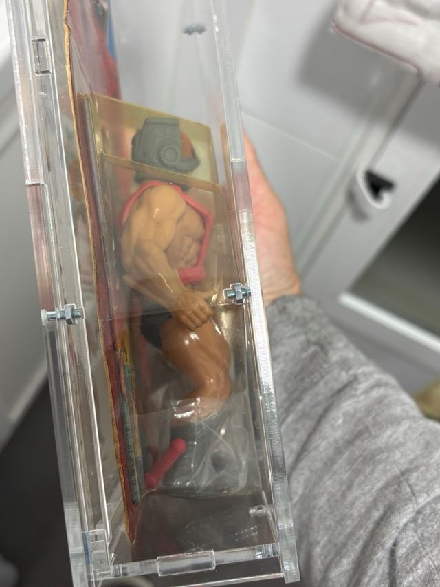 masters del universo Zodac