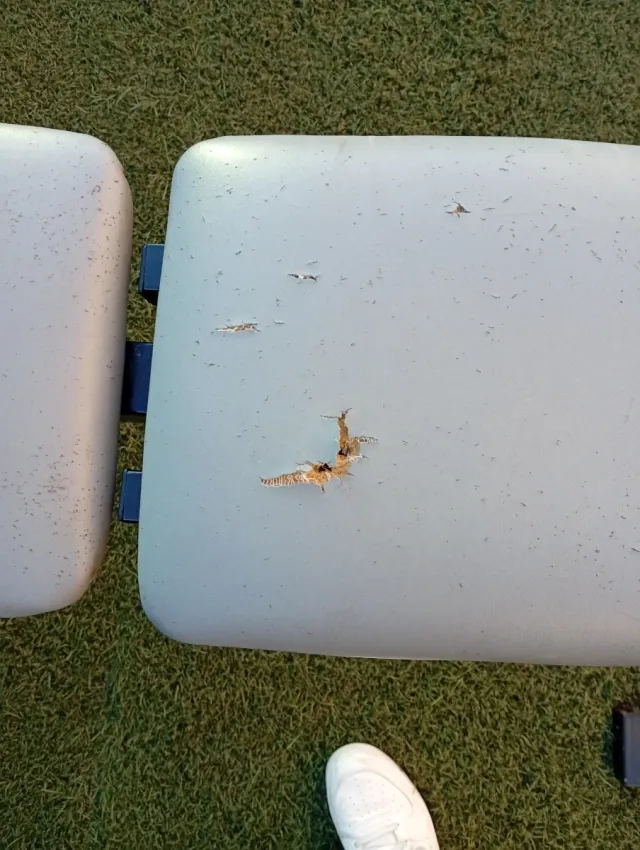 Banco de musculación ajustable