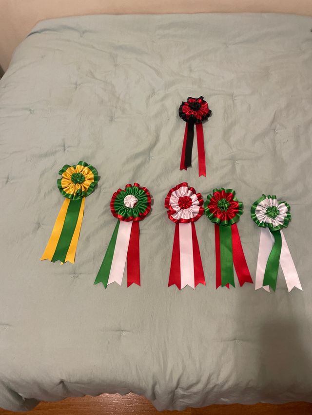 Divisas de toros en perfecto estado