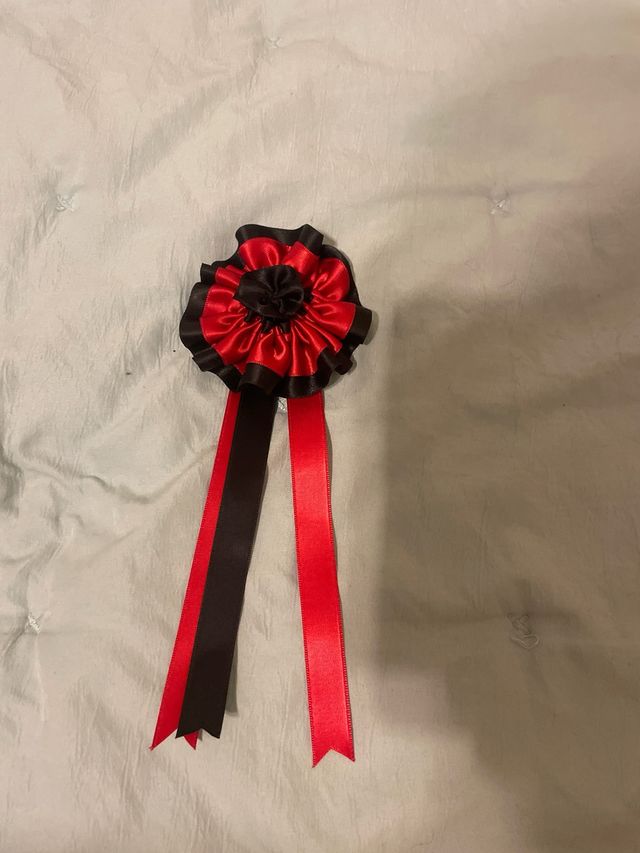 Divisas de toros en perfecto estado