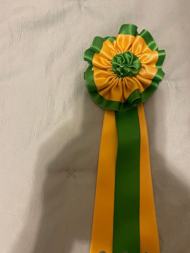 Divisas de toros en perfecto estado