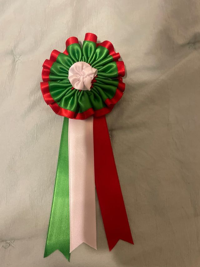 Divisas de toros en perfecto estado