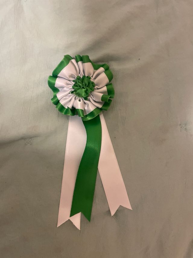 Divisas de toros en perfecto estado