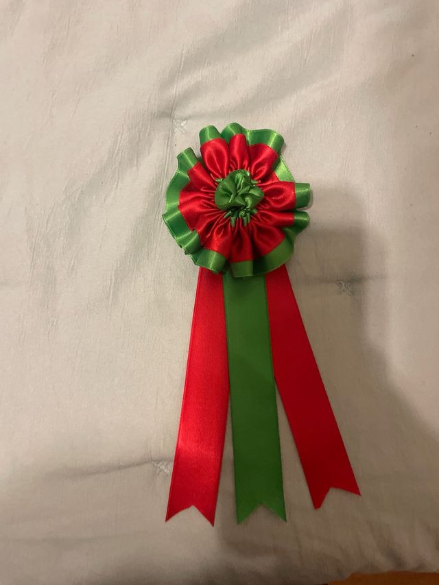 Divisas de toros en perfecto estado